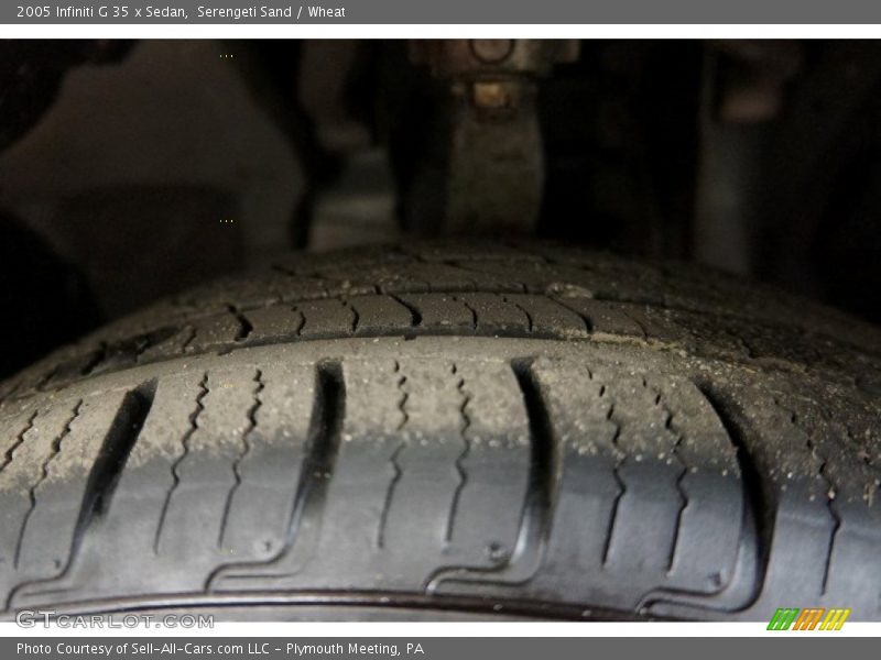 Serengeti Sand / Wheat 2005 Infiniti G 35 x Sedan