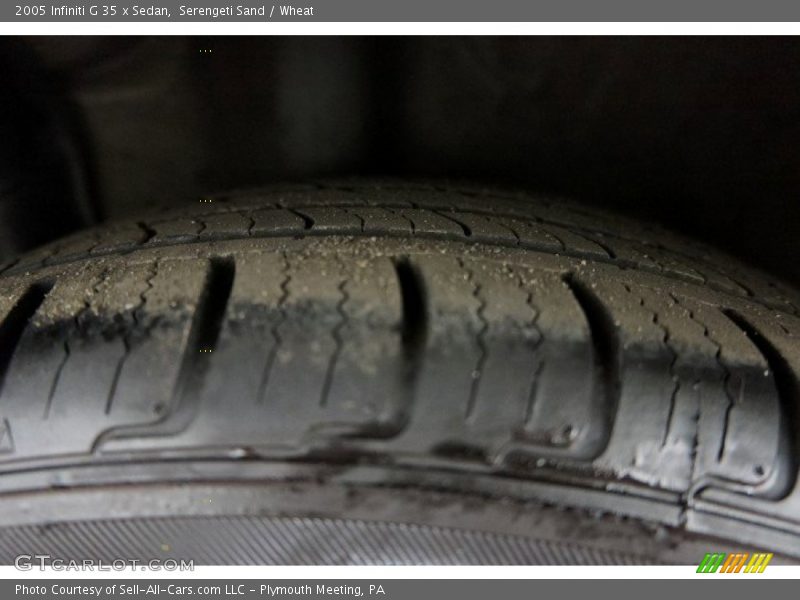 Serengeti Sand / Wheat 2005 Infiniti G 35 x Sedan