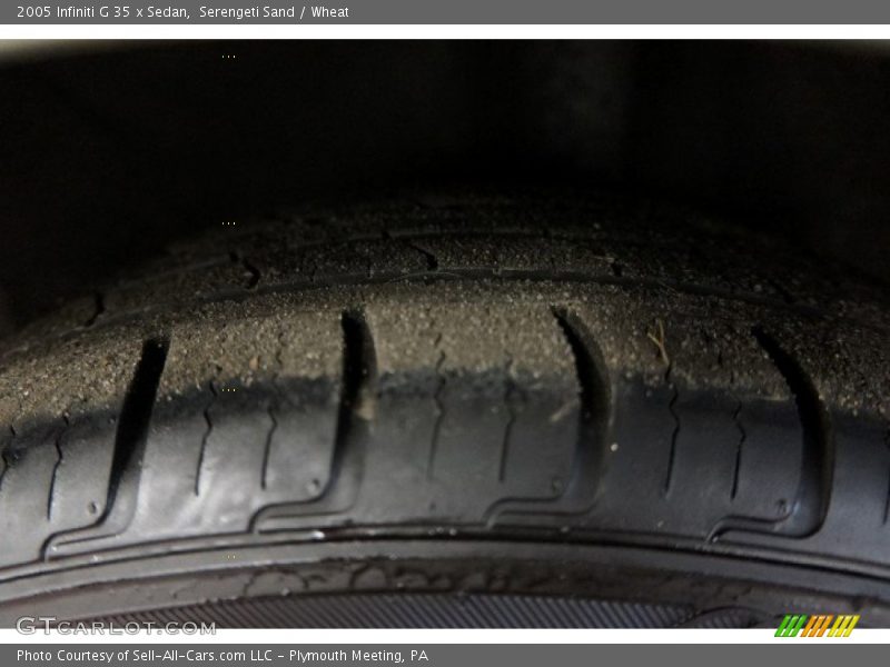 Serengeti Sand / Wheat 2005 Infiniti G 35 x Sedan