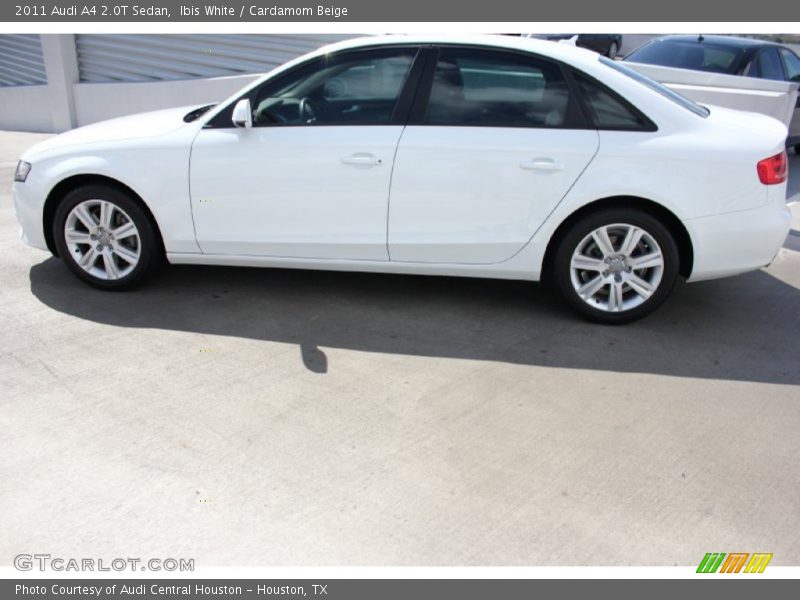 Ibis White / Cardamom Beige 2011 Audi A4 2.0T Sedan