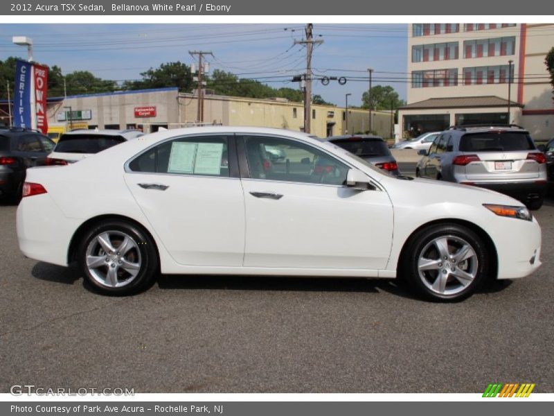 Bellanova White Pearl / Ebony 2012 Acura TSX Sedan