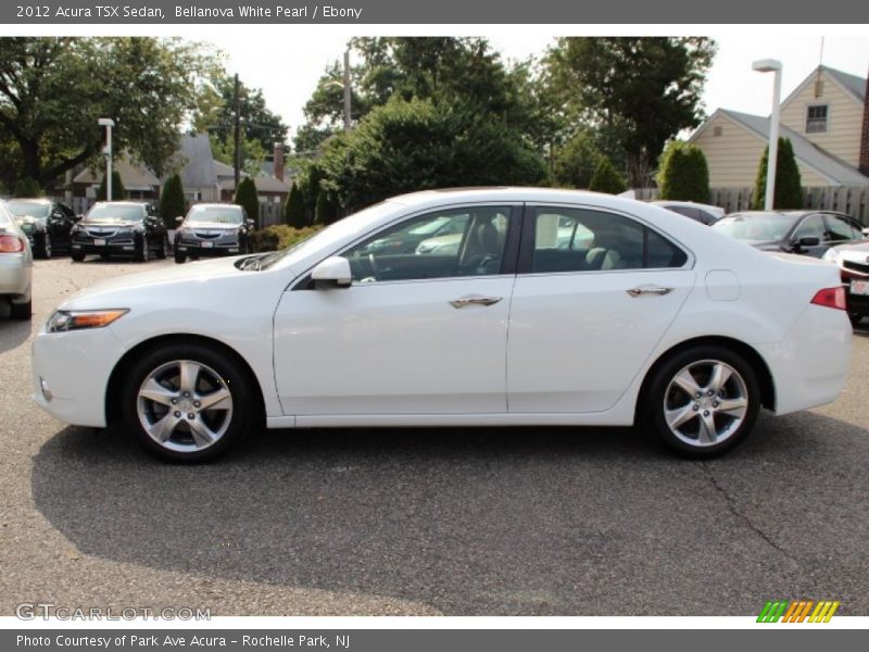 Bellanova White Pearl / Ebony 2012 Acura TSX Sedan