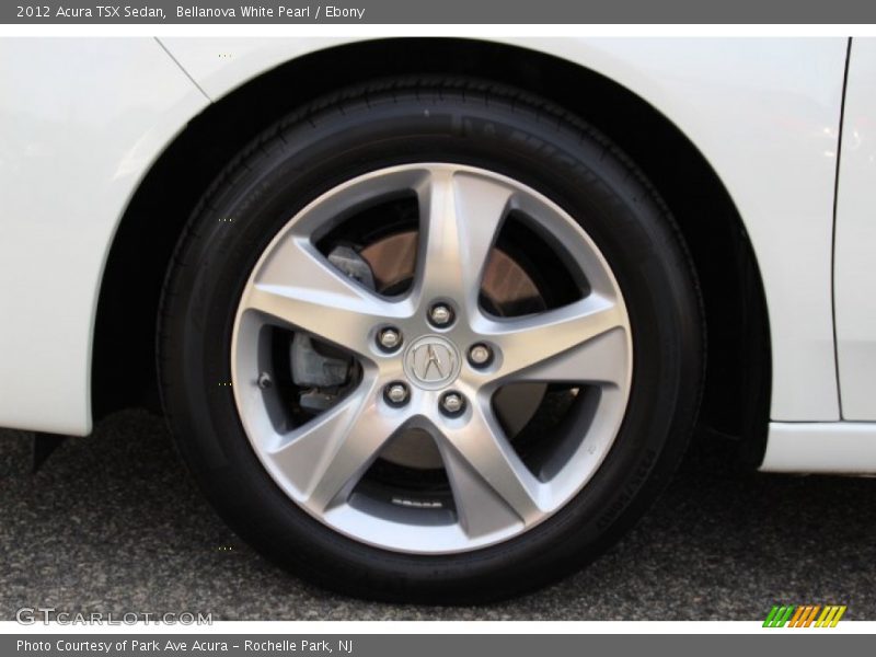 Bellanova White Pearl / Ebony 2012 Acura TSX Sedan