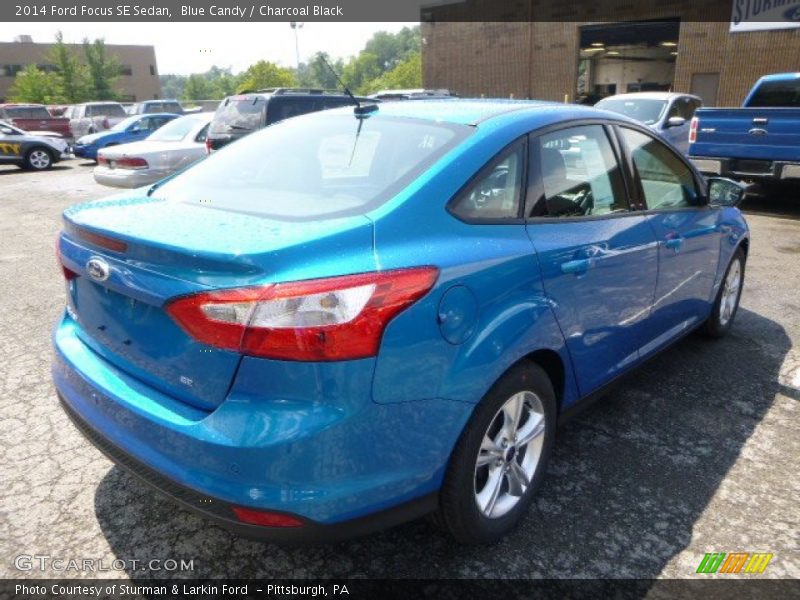 Blue Candy / Charcoal Black 2014 Ford Focus SE Sedan