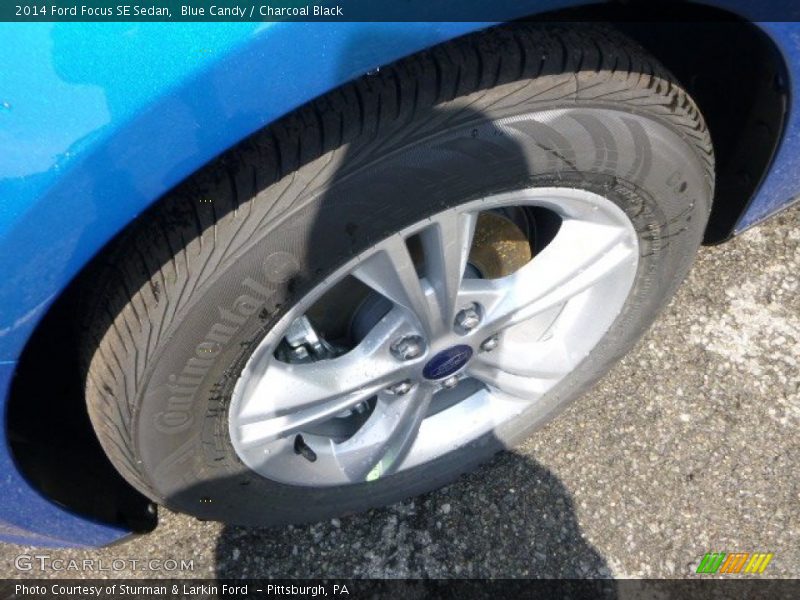 Blue Candy / Charcoal Black 2014 Ford Focus SE Sedan