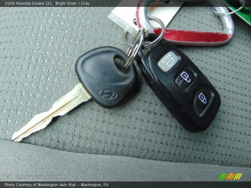 Bright Silver / Gray 2009 Hyundai Sonata GLS