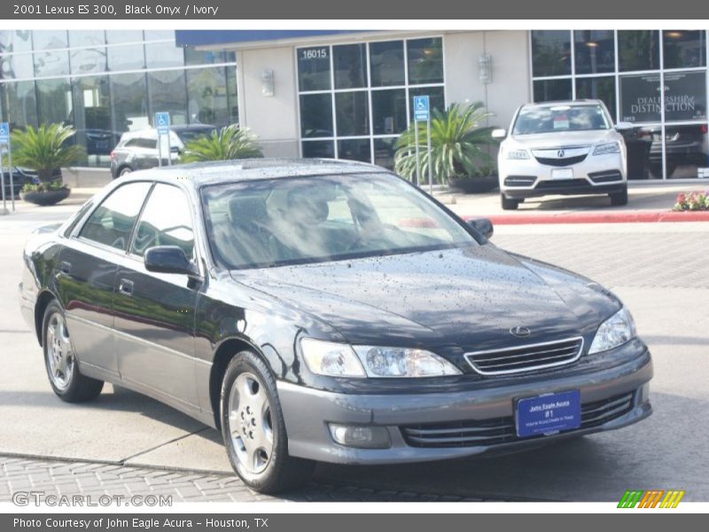 Black Onyx / Ivory 2001 Lexus ES 300
