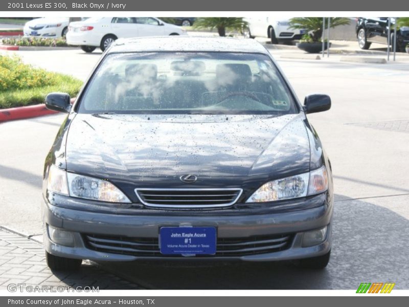 Black Onyx / Ivory 2001 Lexus ES 300