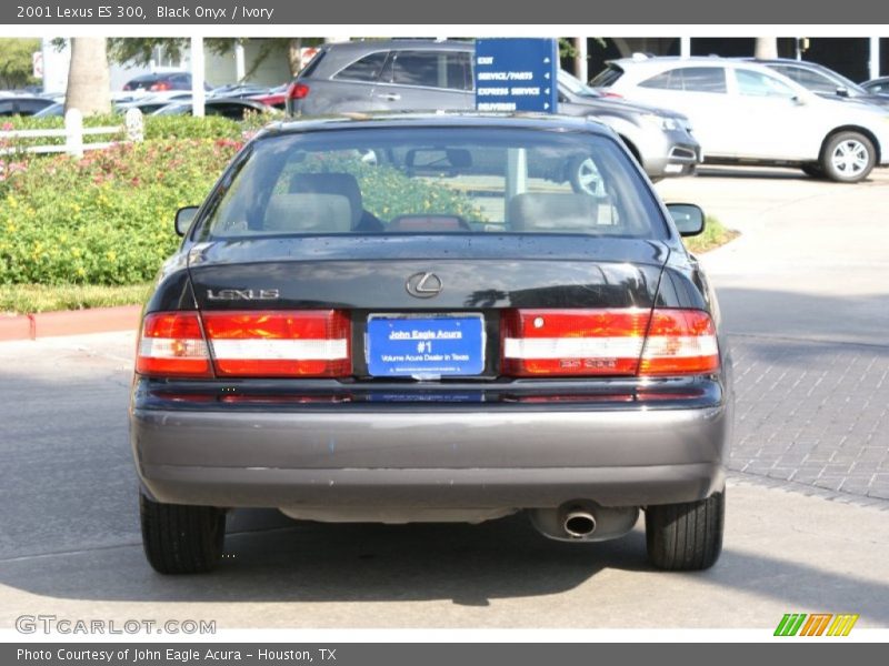 Black Onyx / Ivory 2001 Lexus ES 300