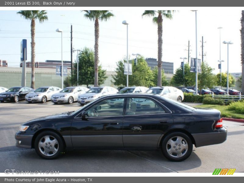 Black Onyx / Ivory 2001 Lexus ES 300