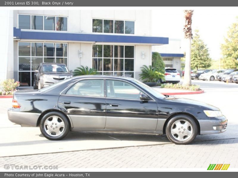 Black Onyx / Ivory 2001 Lexus ES 300