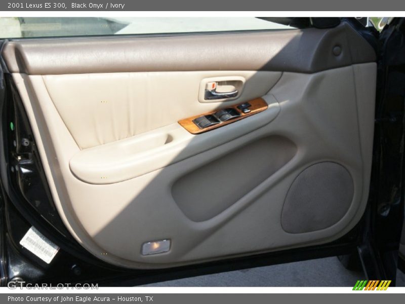 Black Onyx / Ivory 2001 Lexus ES 300