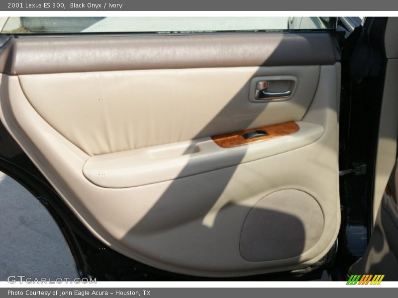 Black Onyx / Ivory 2001 Lexus ES 300