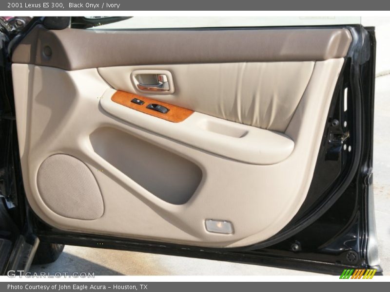 Black Onyx / Ivory 2001 Lexus ES 300
