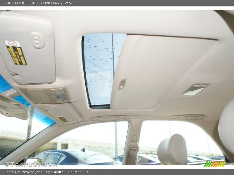 Black Onyx / Ivory 2001 Lexus ES 300