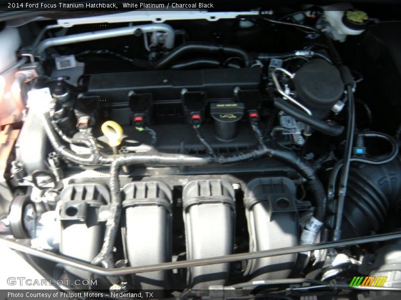 White Platinum / Charcoal Black 2014 Ford Focus Titanium Hatchback
