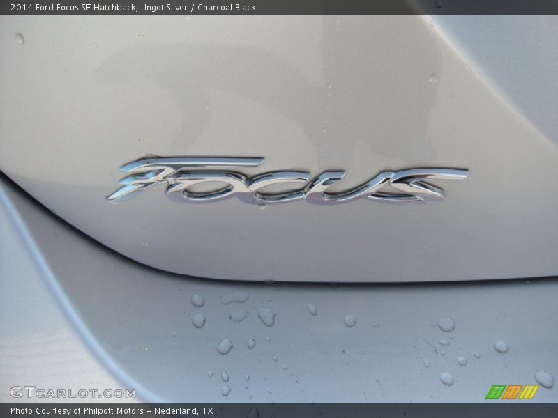 Ingot Silver / Charcoal Black 2014 Ford Focus SE Hatchback
