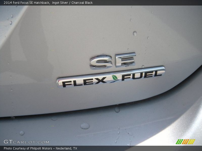 Ingot Silver / Charcoal Black 2014 Ford Focus SE Hatchback