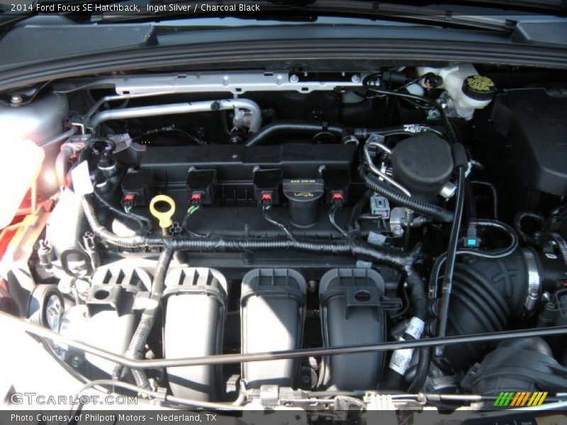 Ingot Silver / Charcoal Black 2014 Ford Focus SE Hatchback