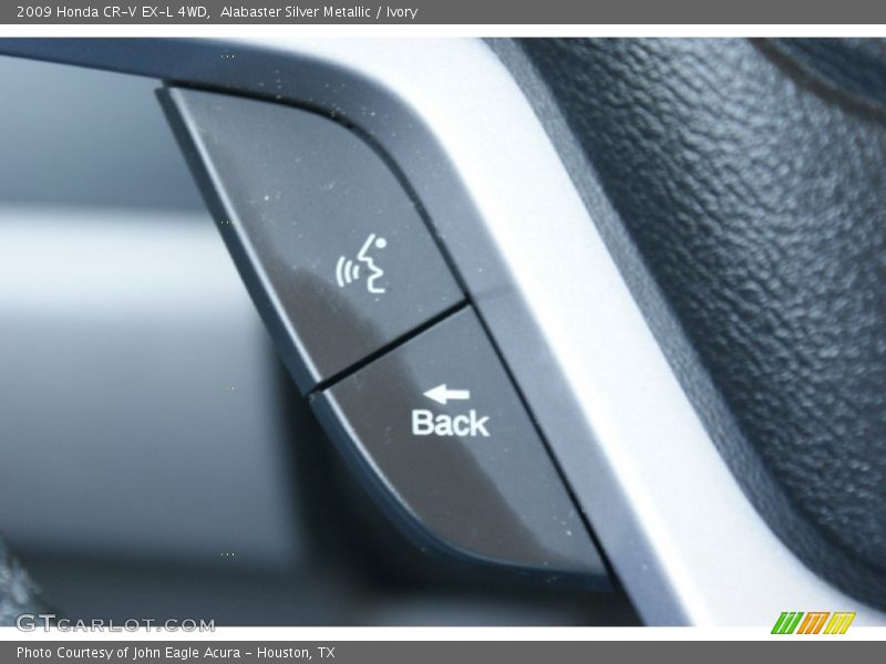 Alabaster Silver Metallic / Ivory 2009 Honda CR-V EX-L 4WD