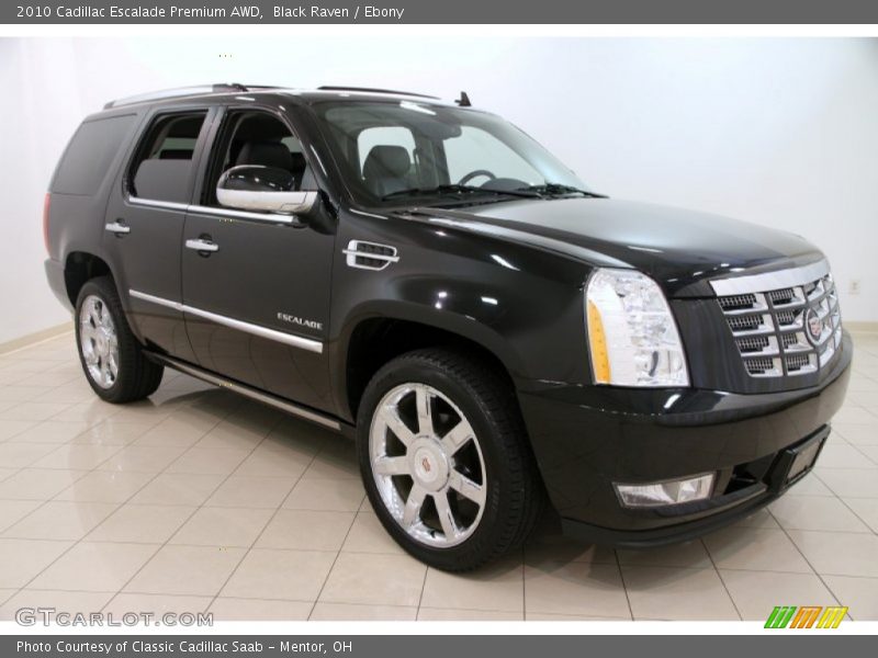 Black Raven / Ebony 2010 Cadillac Escalade Premium AWD