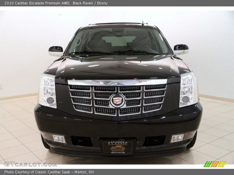 Black Raven / Ebony 2010 Cadillac Escalade Premium AWD