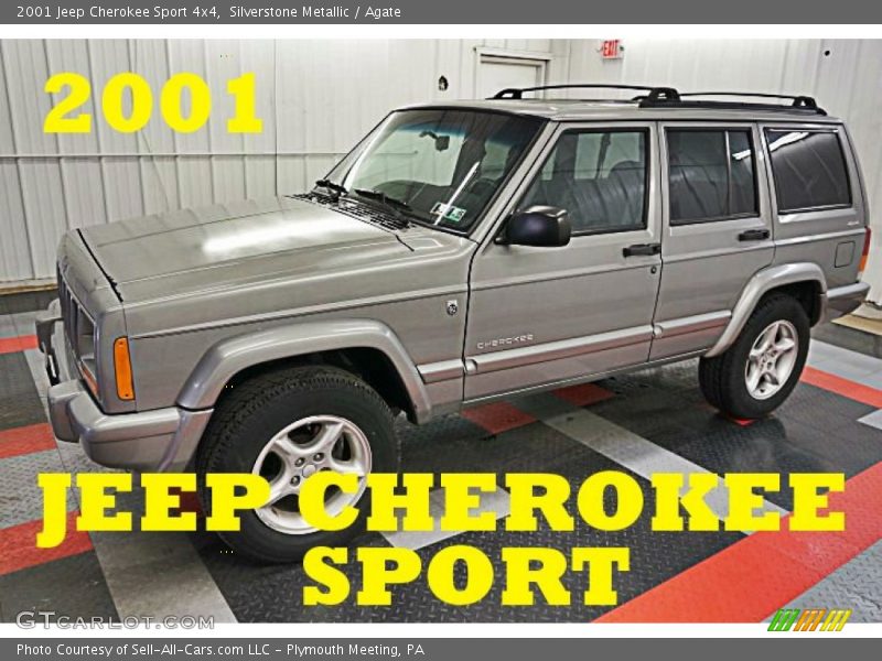 Silverstone Metallic / Agate 2001 Jeep Cherokee Sport 4x4