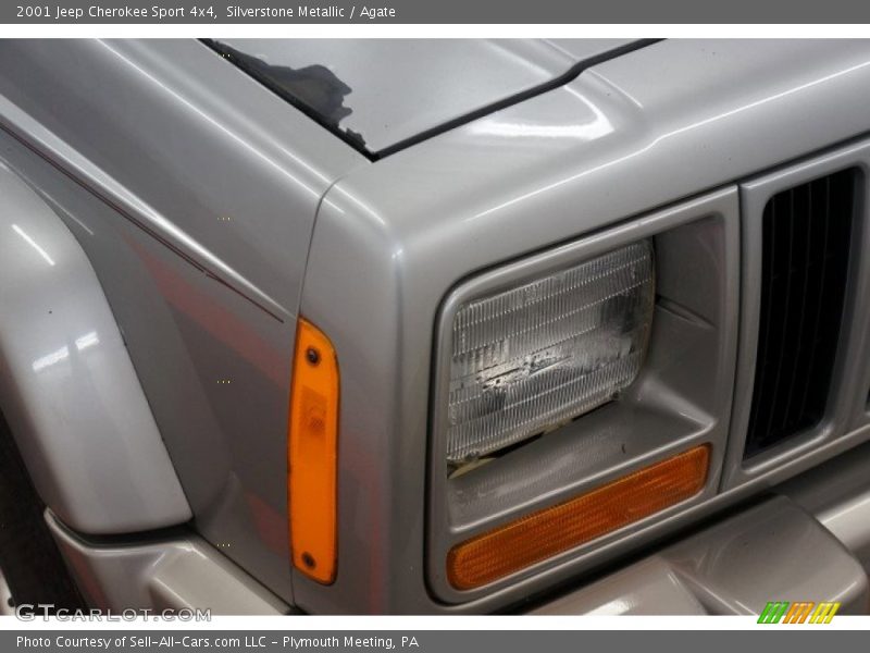 Silverstone Metallic / Agate 2001 Jeep Cherokee Sport 4x4