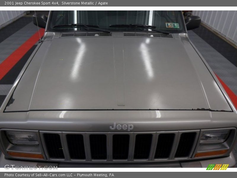 Silverstone Metallic / Agate 2001 Jeep Cherokee Sport 4x4