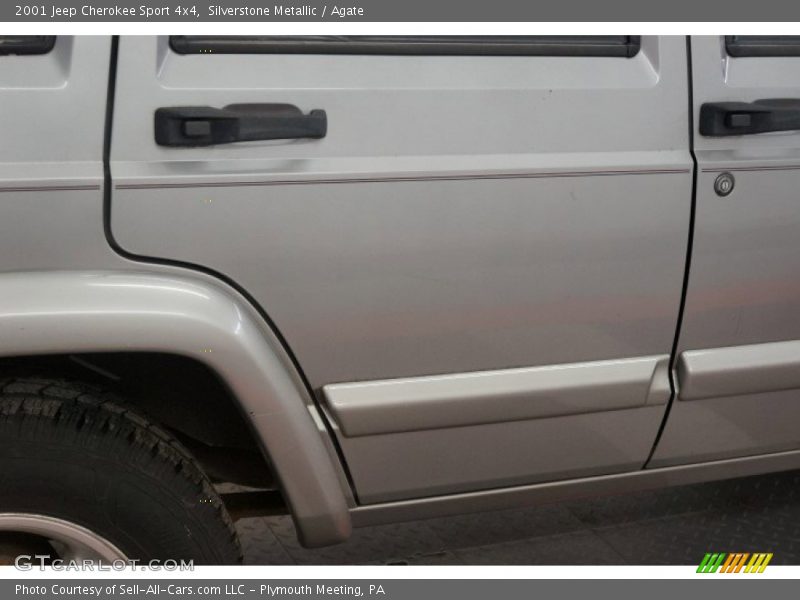 Silverstone Metallic / Agate 2001 Jeep Cherokee Sport 4x4