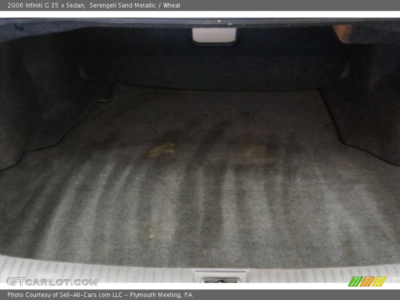 Serengeti Sand Metallic / Wheat 2006 Infiniti G 35 x Sedan