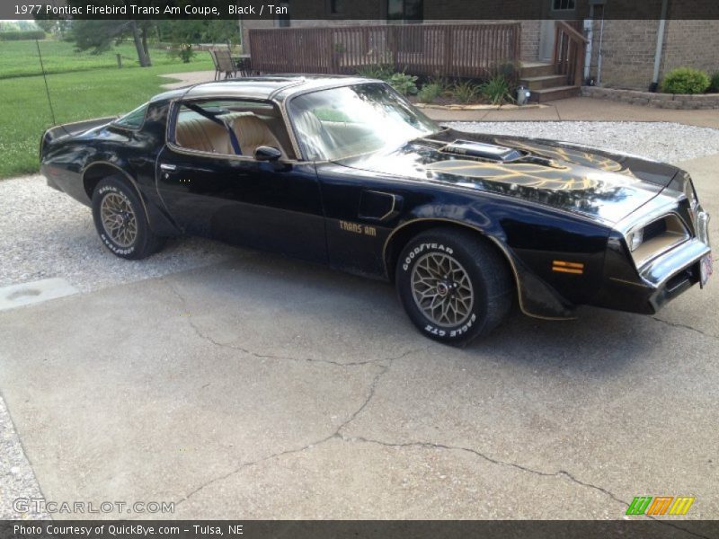  1977 Firebird Trans Am Coupe Black