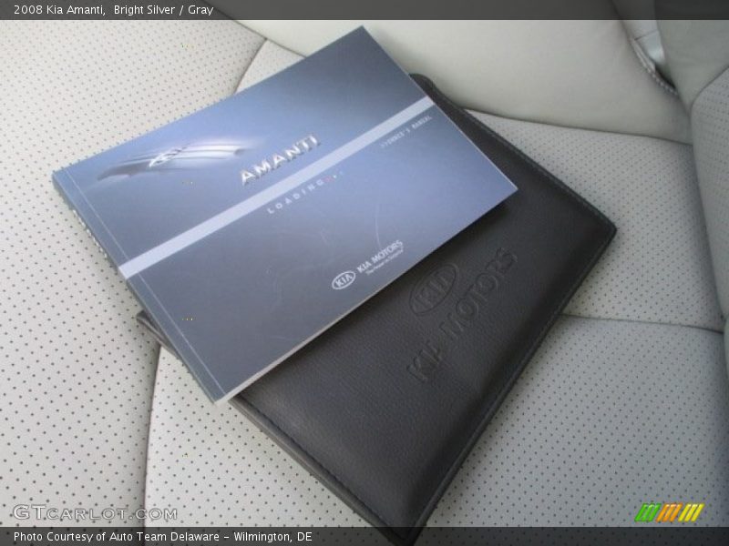 Bright Silver / Gray 2008 Kia Amanti