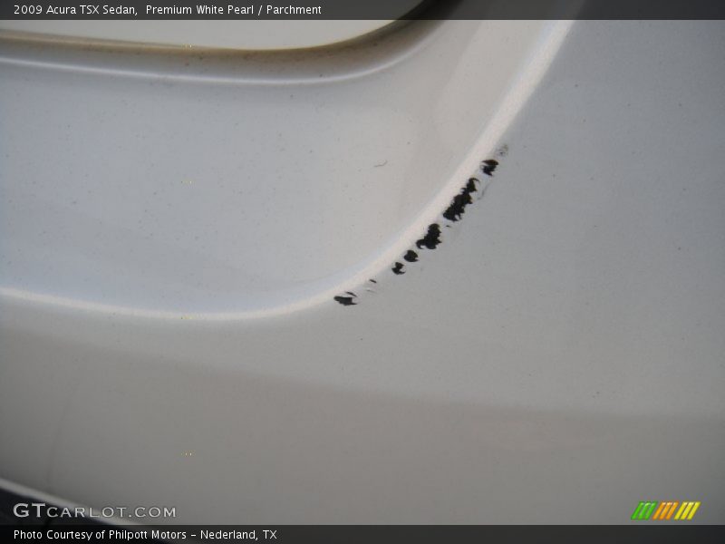 Premium White Pearl / Parchment 2009 Acura TSX Sedan