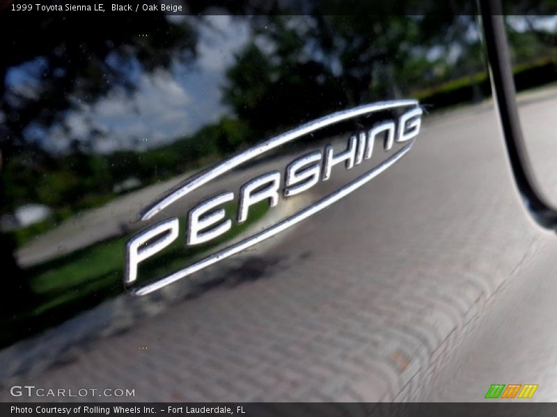 Black / Oak Beige 1999 Toyota Sienna LE