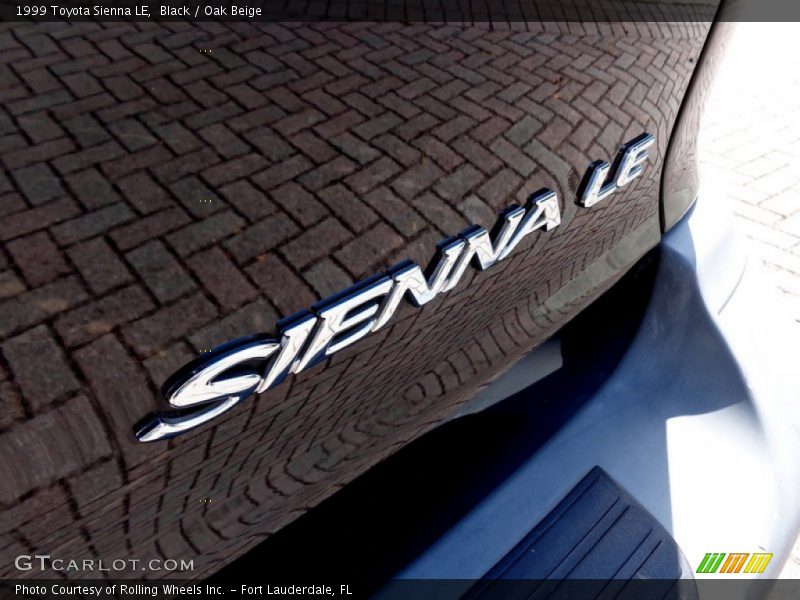 Black / Oak Beige 1999 Toyota Sienna LE