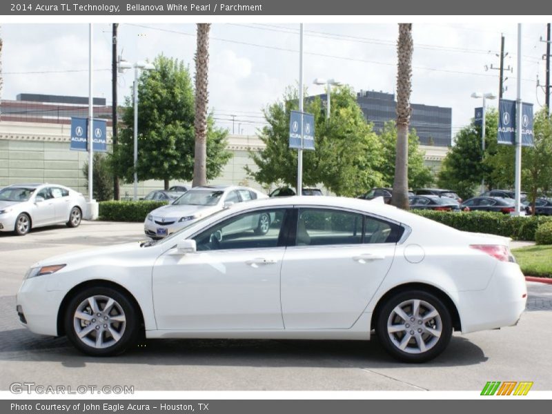 Bellanova White Pearl / Parchment 2014 Acura TL Technology