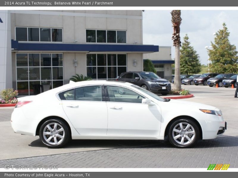Bellanova White Pearl / Parchment 2014 Acura TL Technology