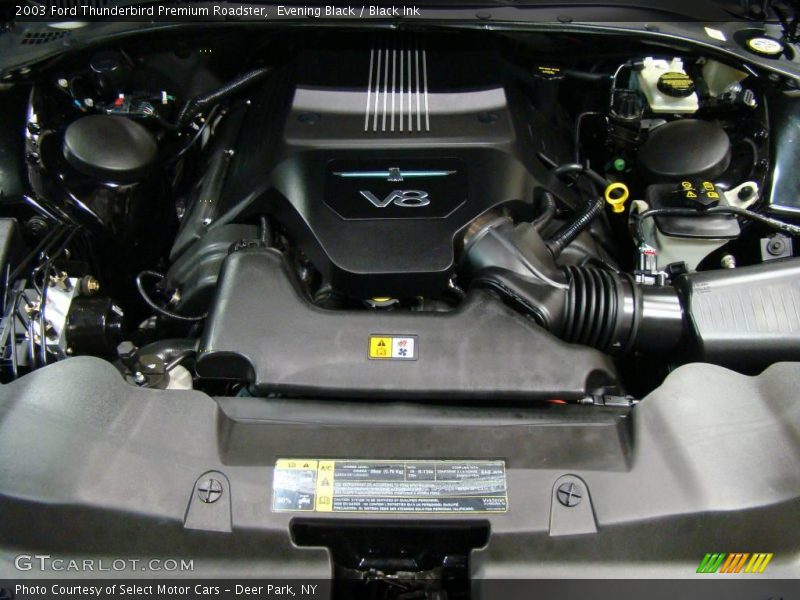 Evening Black / Black Ink 2003 Ford Thunderbird Premium Roadster