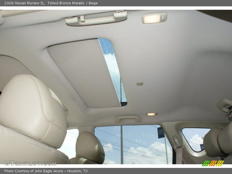 Tinted Bronze Metallic / Beige 2009 Nissan Murano SL