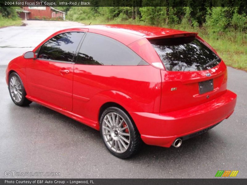 Infra-Red / Black 2004 Ford Focus SVT Coupe