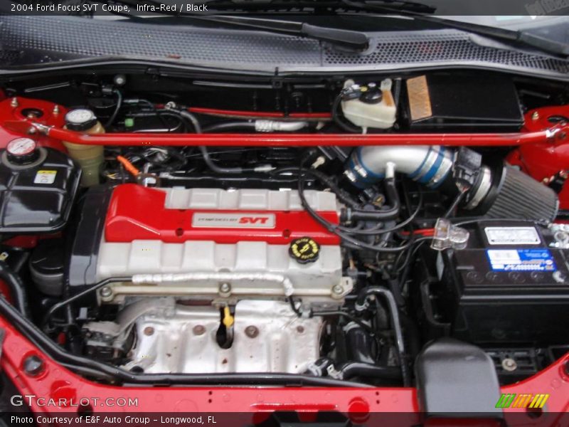 Infra-Red / Black 2004 Ford Focus SVT Coupe