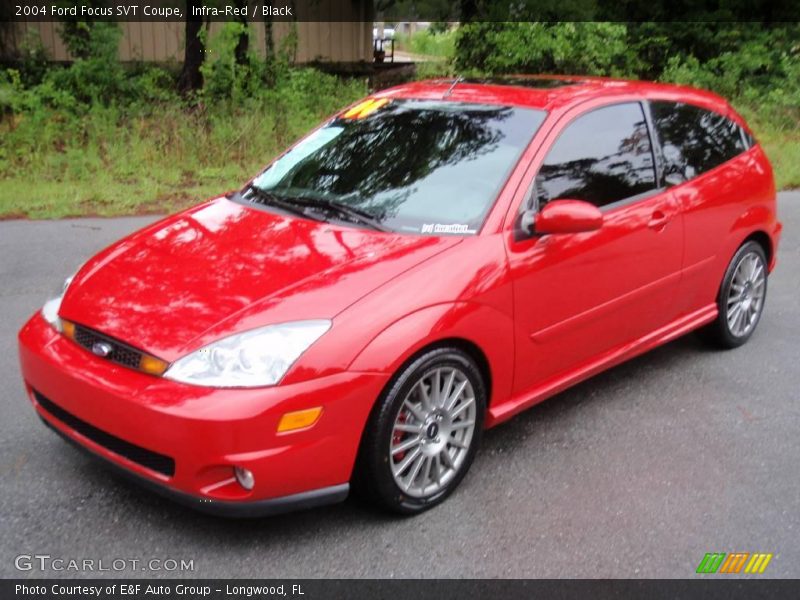 Infra-Red / Black 2004 Ford Focus SVT Coupe
