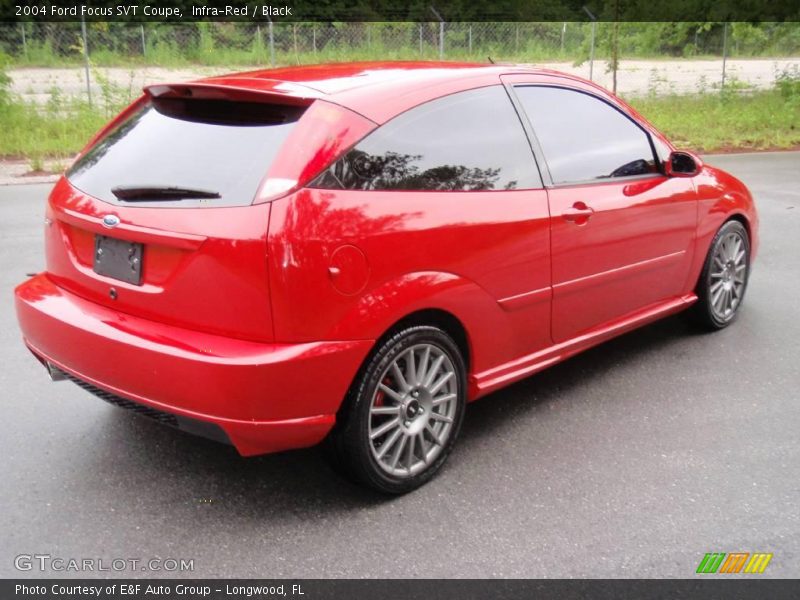 Infra-Red / Black 2004 Ford Focus SVT Coupe