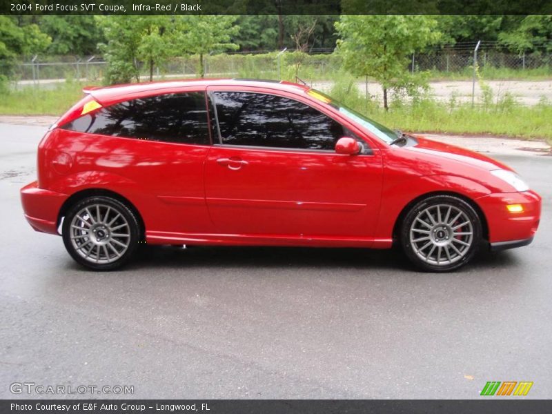 Infra-Red / Black 2004 Ford Focus SVT Coupe