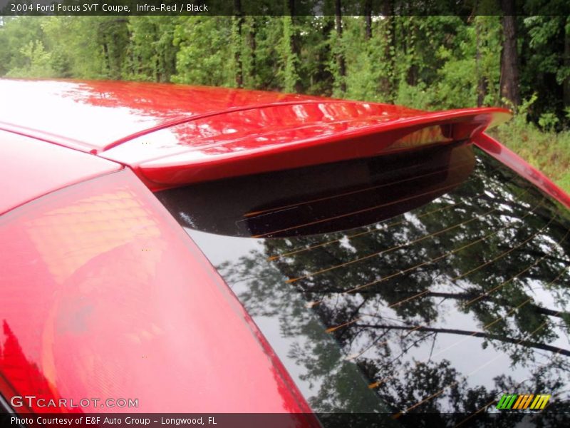 Infra-Red / Black 2004 Ford Focus SVT Coupe