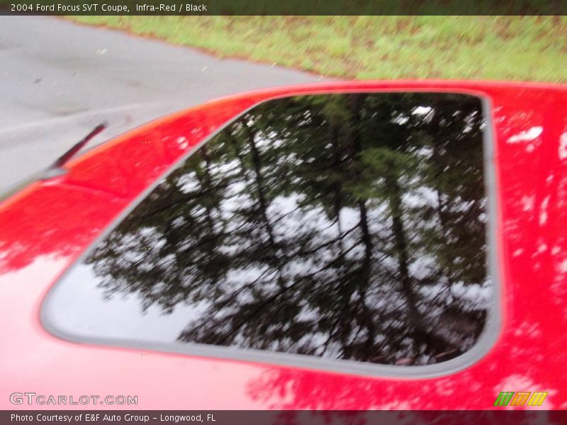 Infra-Red / Black 2004 Ford Focus SVT Coupe
