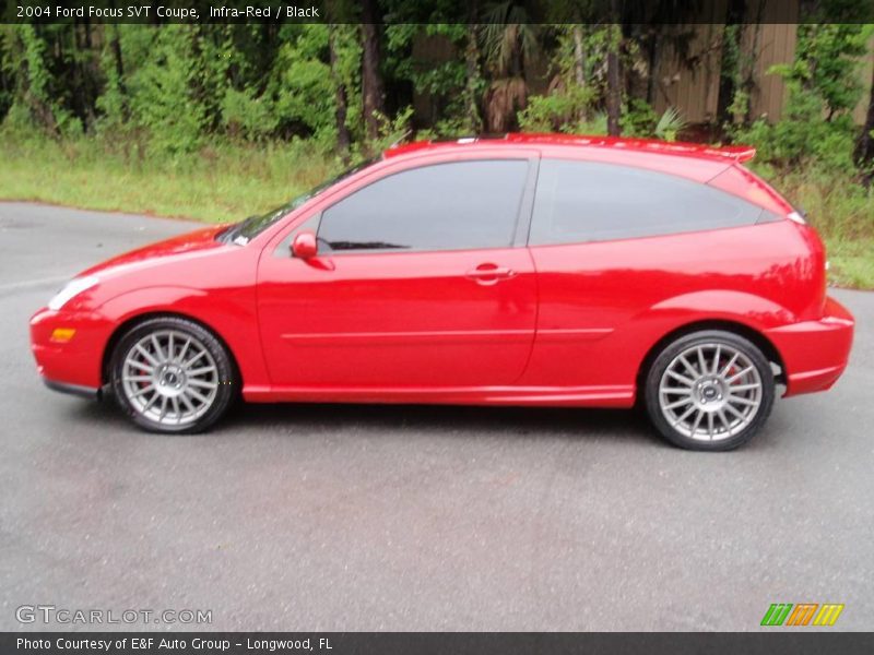 Infra-Red / Black 2004 Ford Focus SVT Coupe