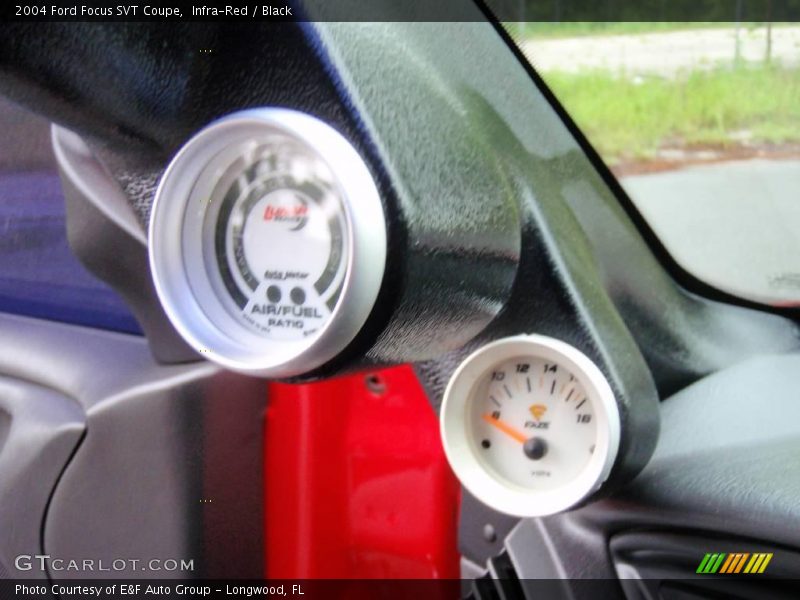 Infra-Red / Black 2004 Ford Focus SVT Coupe