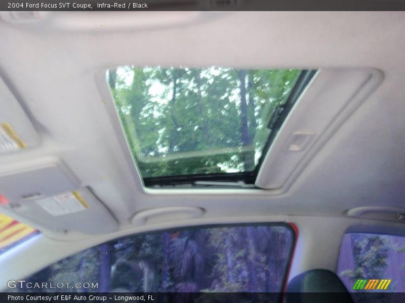 Infra-Red / Black 2004 Ford Focus SVT Coupe